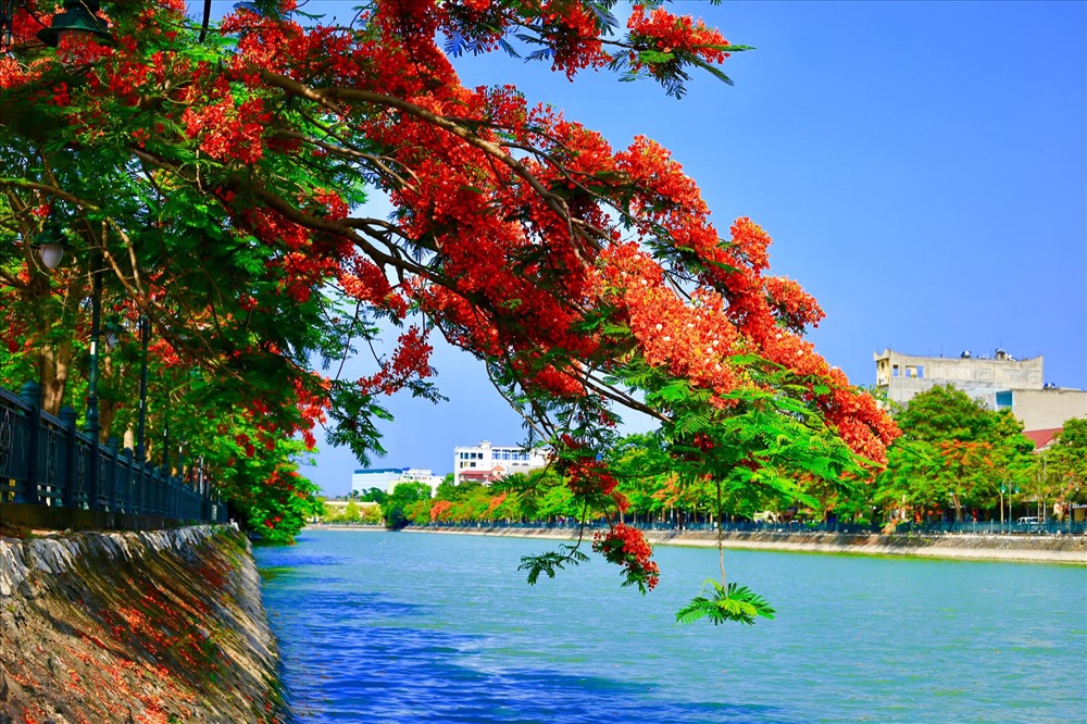 Hải Phòng