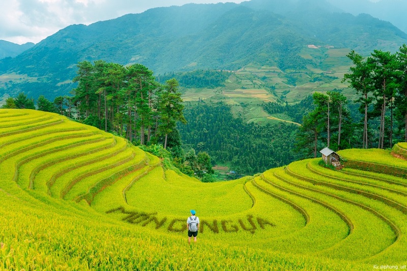 HÀ NỘI - MÙ CANG CHẢI -  SAPA