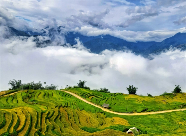 HÀ NỘI - Y TÝ – BẮC HÀ