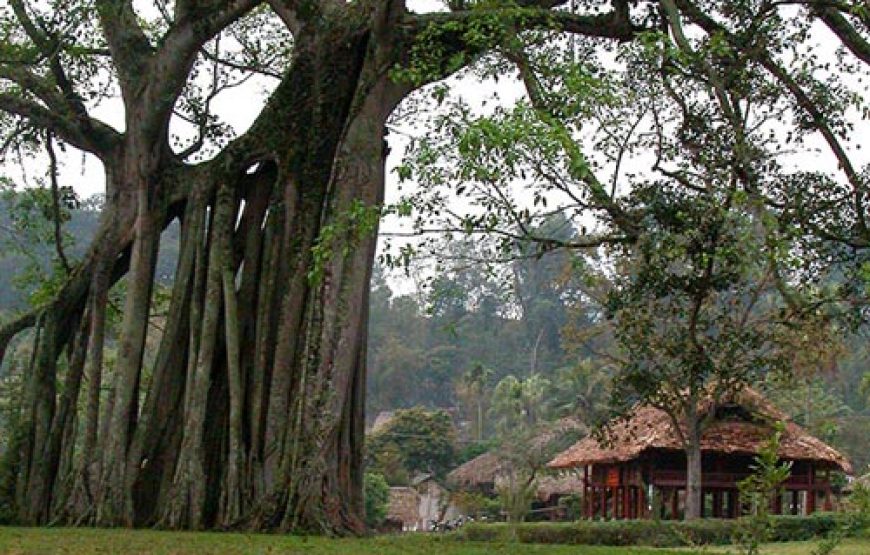 HÀ NỘI- TUYÊN QUANG-HÀ NỘI