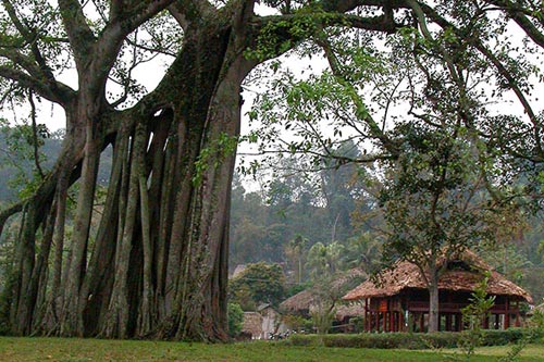 NGÀY 01: HÀ NỘI – TÂN TRÀO – NA HANG (T,T)