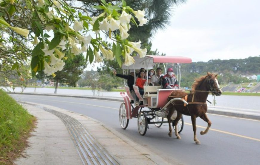 ĐÀ LẠT – LIANGBIANG – CITYTOUR